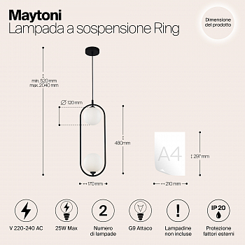 Светильник одинарный Maytoni MOD013PL-02B